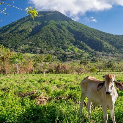 Voyage Au Nicaragua - Lâcher-Prise